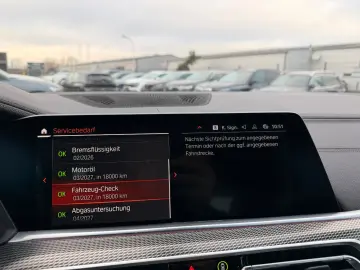 X6 30d xDrive M Sport Paket ACC