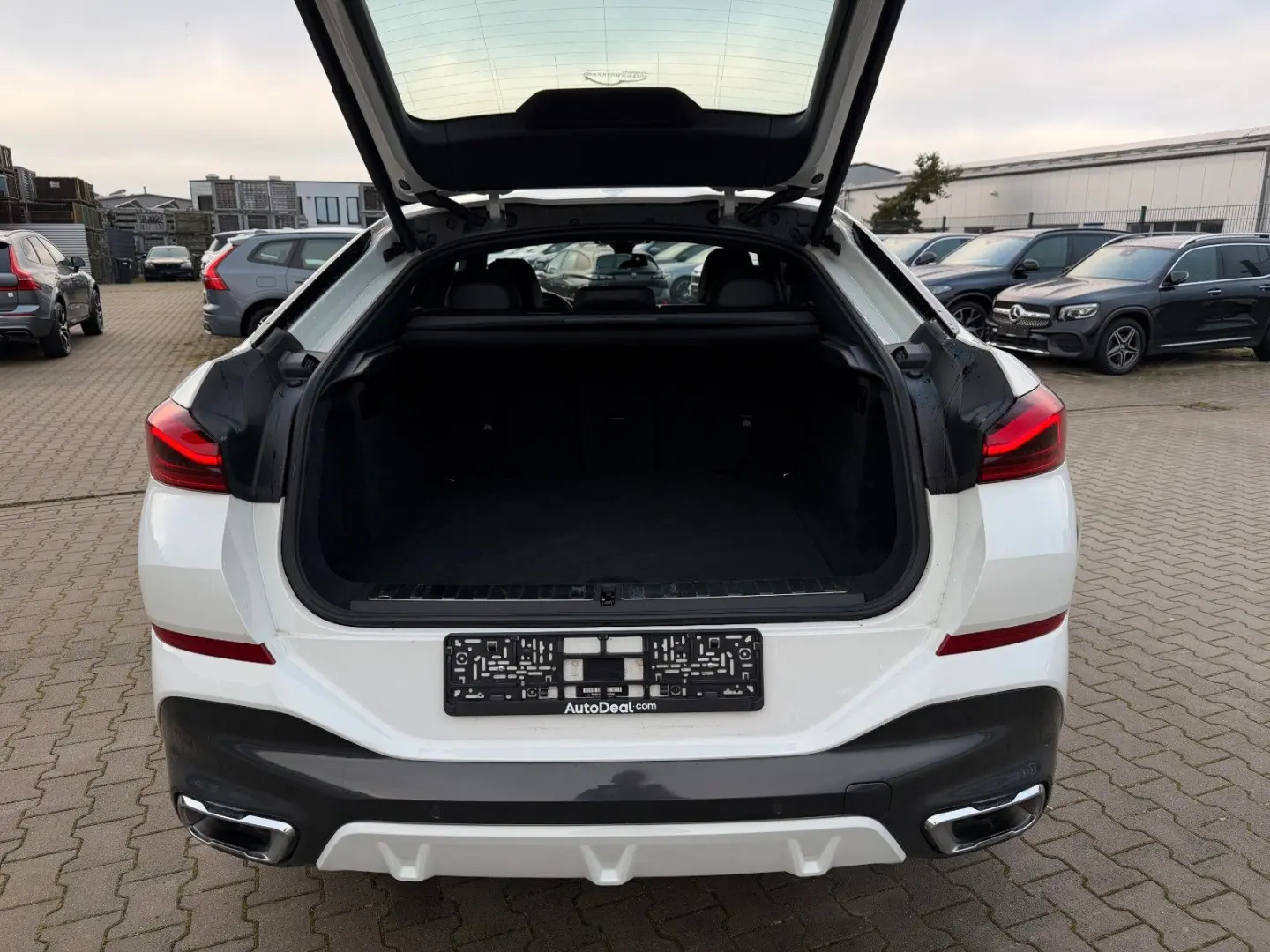 X6 30d xDrive M Sport Paket ACC