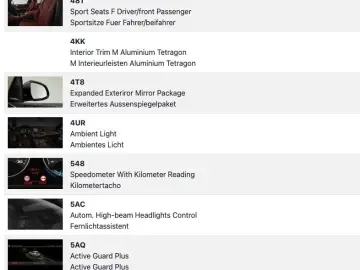 X6 30d xDrive M Sport Paket ACC