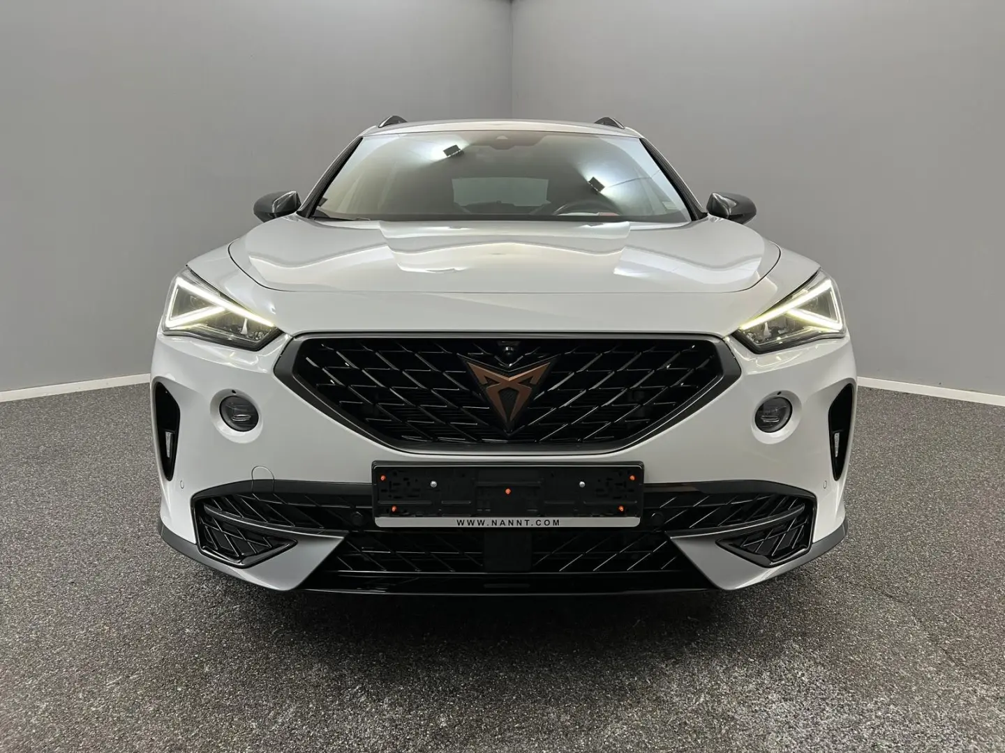 Formentor 2.0 TDI 110KW 4Drive DSG