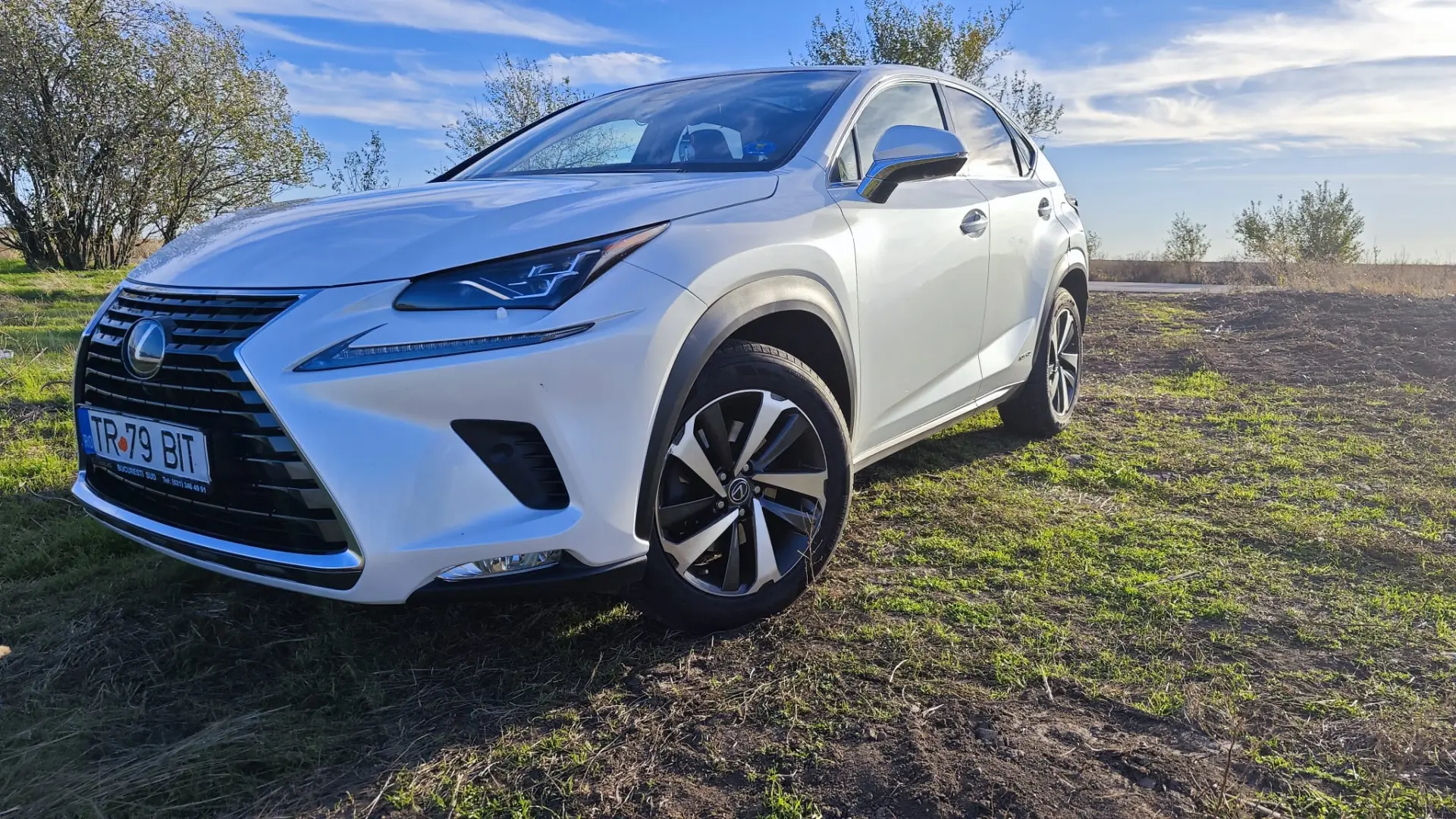 Lexus NX 300