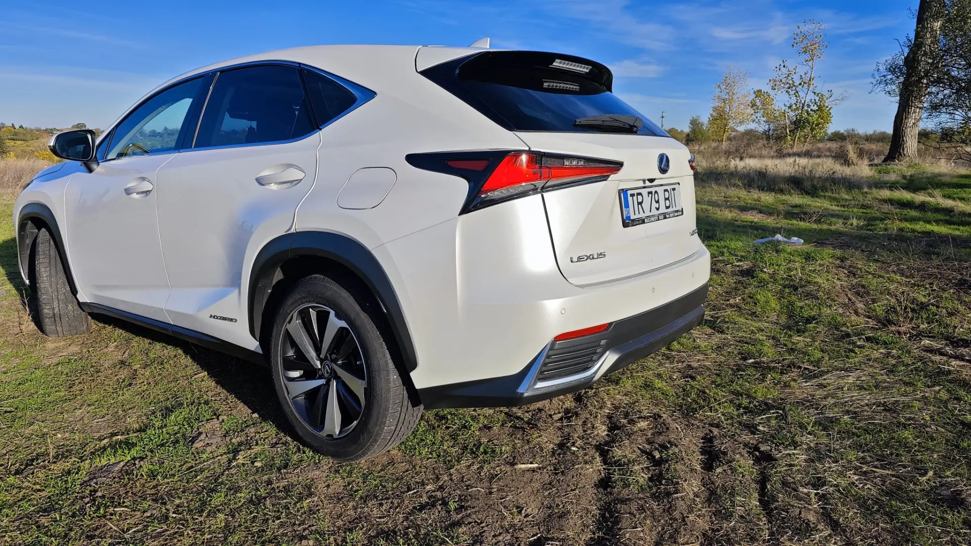 Lexus NX 300
