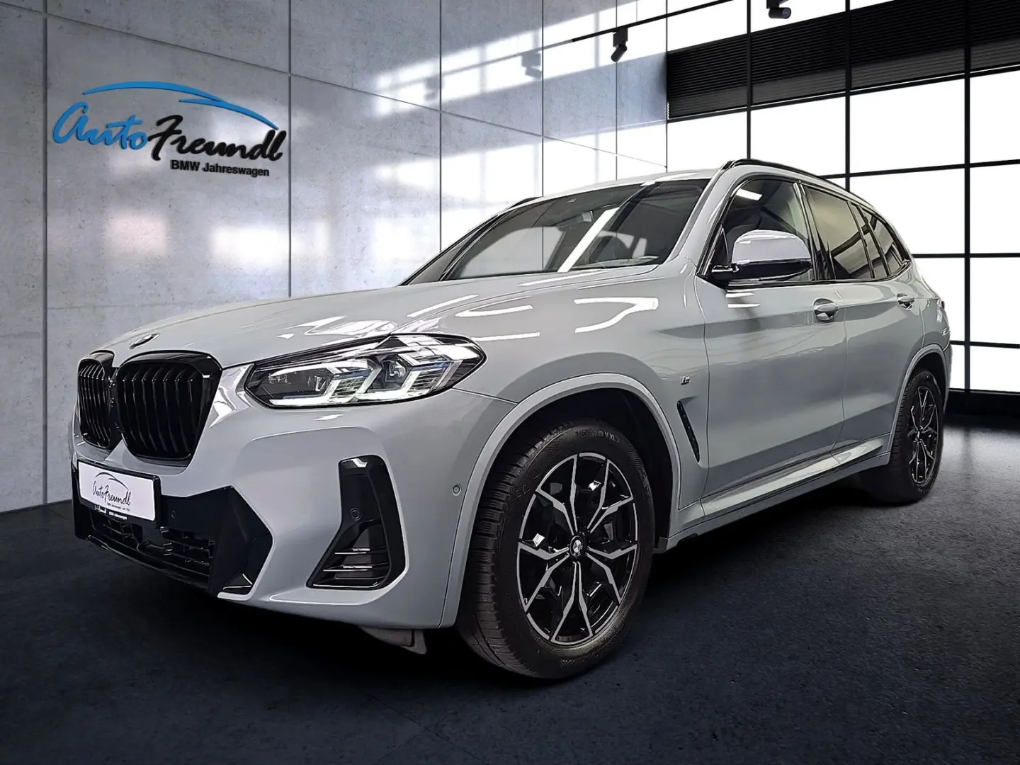 X3 2.0i xDrive M Sport  Pano AHK ACC HuD