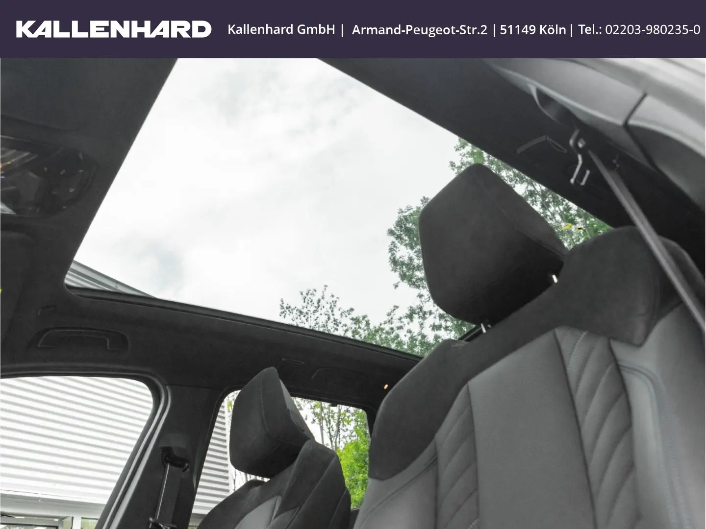 X3 M50 Pano-DrivingAssProf-21 Zoll-Sitzbelüftung