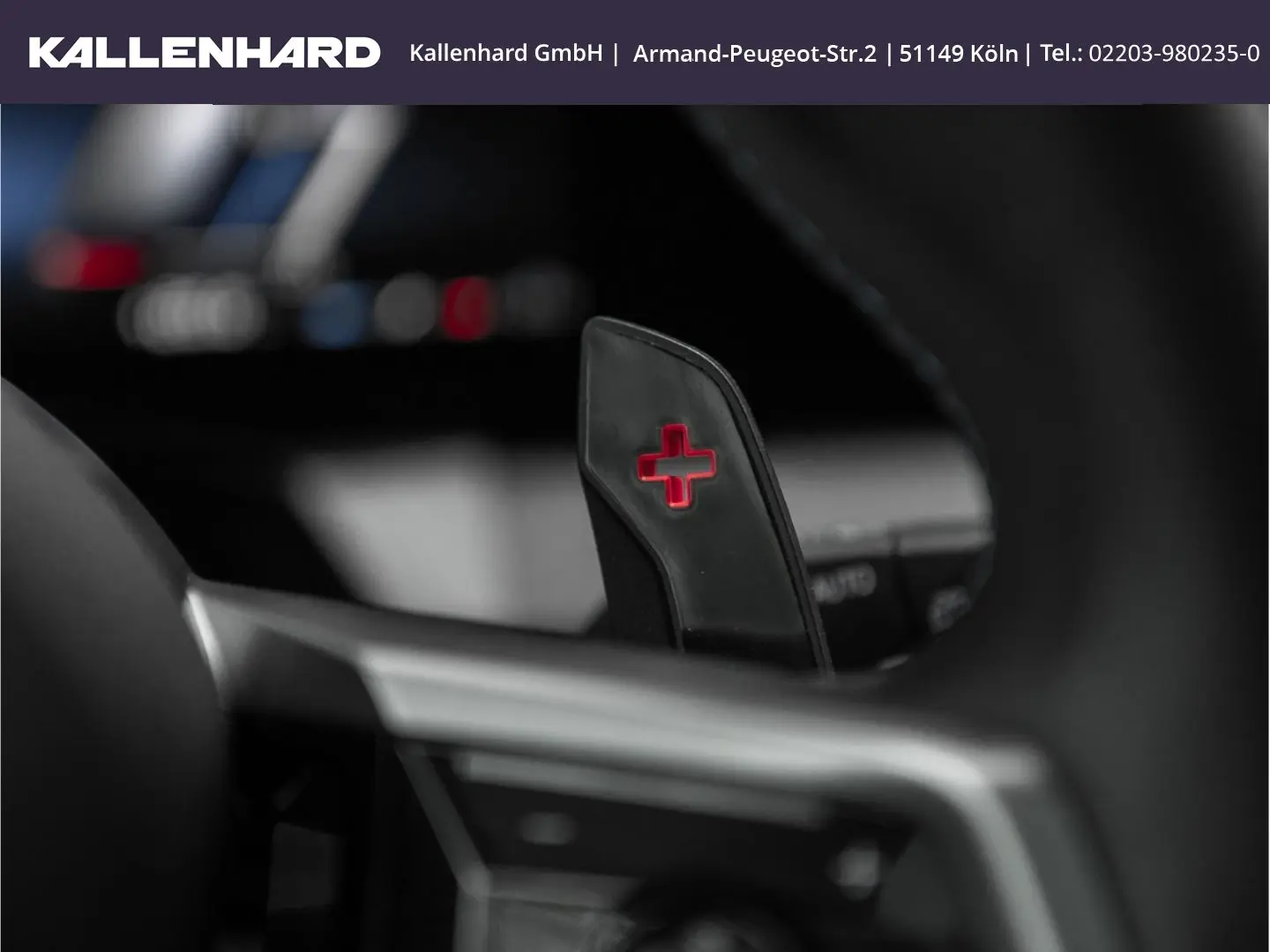 X3 M50 Pano-DrivingAssProf-21 Zoll-Sitzbelüftung