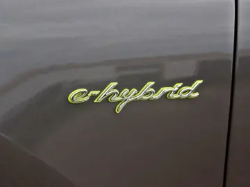 Cayenne E-Hybrid 21-Zoll Pano Luft AHK SAGA