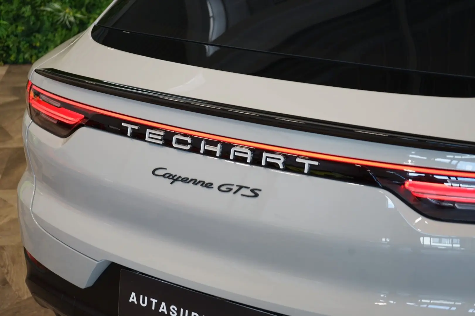 GTS TECHART GT STREET R PCCB PASM