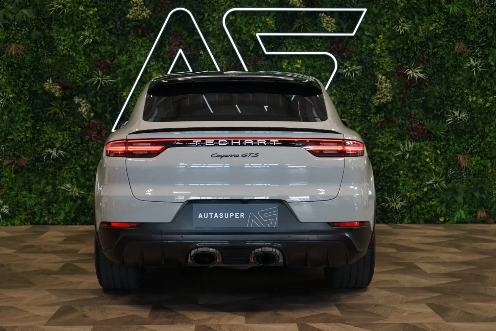 GTS TECHART GT STREET R PCCB PASM