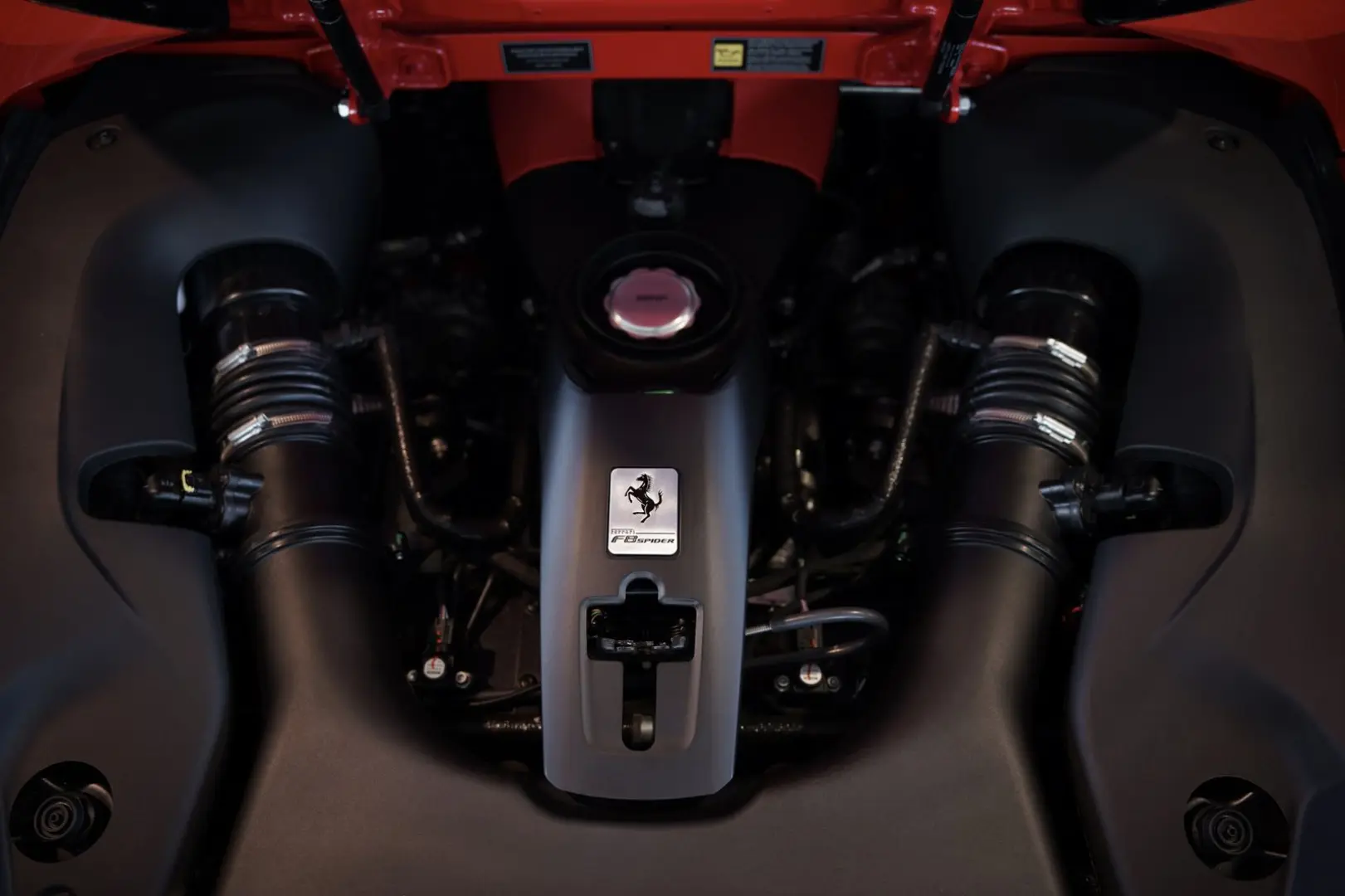 F8 Spider  Lift SOFORT Racing Daytona Alcantara