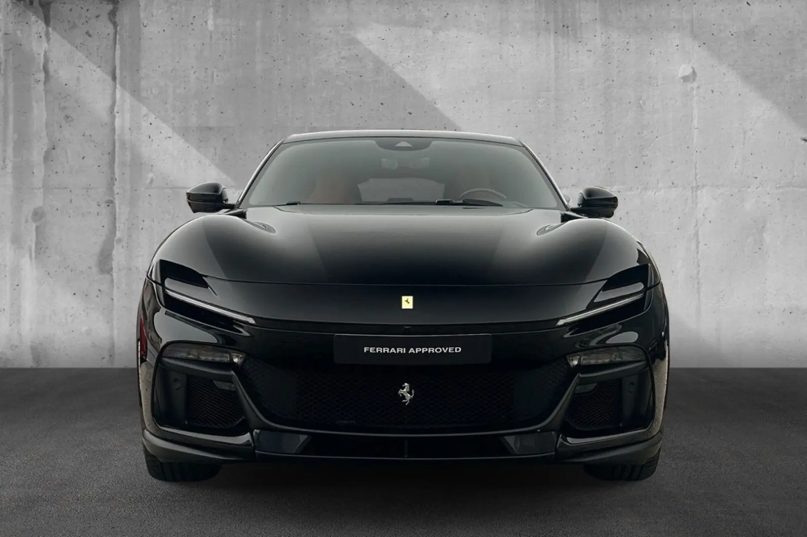 Purosangue Painted shields JBL LED Leder Orange