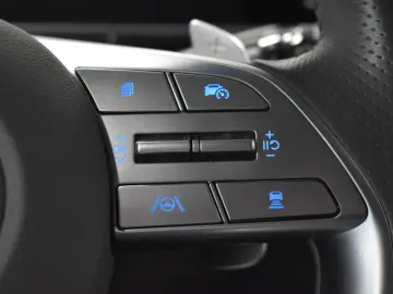 Staria Signature 7-SITZ 360  ACC BOSE LEDER LED