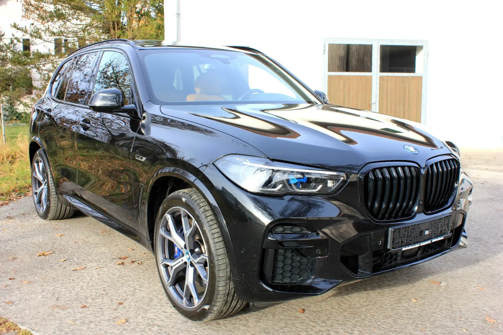 X5 xDrive45e M Sport Pano AHK Laser VOLL 21