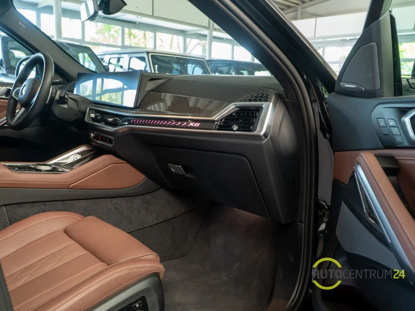 X6 30d M Sport Sky Memo AHK Luft HUD Carbon