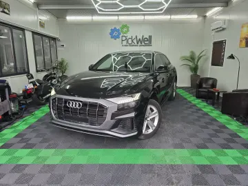 Audi Q8 3.0 55 TFSI MHEV