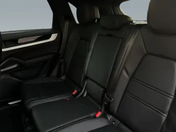 Cayenne Privacy  PASM  Privacy  90l  Pano.  18-W