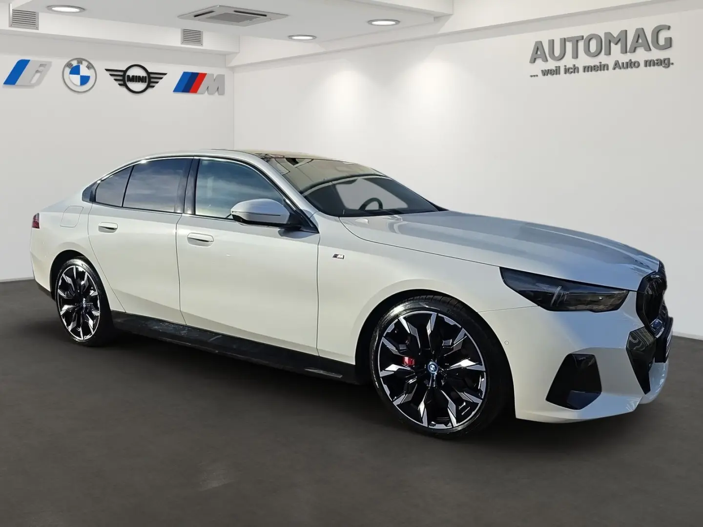 550e xDrive Limousine DrivAssProf ParkAss Pano B