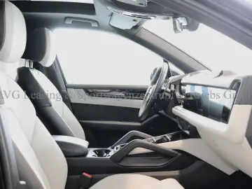 Cayenne E-Hybrid Dt 1.Hd Bicolor Leder