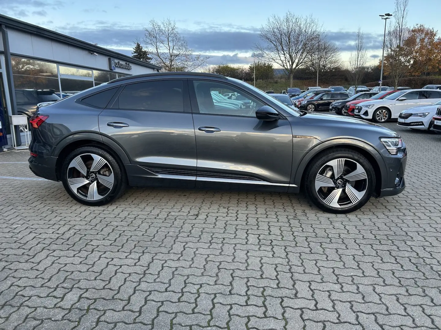 e-tron 55 S line Matrix HUD Kamera Nachtsicht