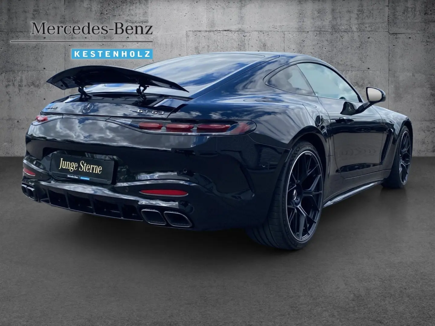 AMG GT 63 PERF.SITZ DISTRO MEMORY 360  NIGHT1&2