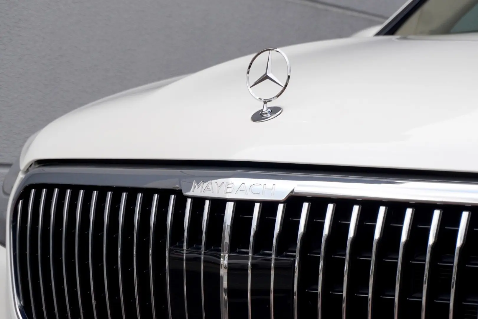 Maybach GLS 600 MANUFAKTUR FIRSTCLASS FOND TV 23