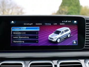 GLS 600 Maybach TwoTone FirstClass Standhz. Dist