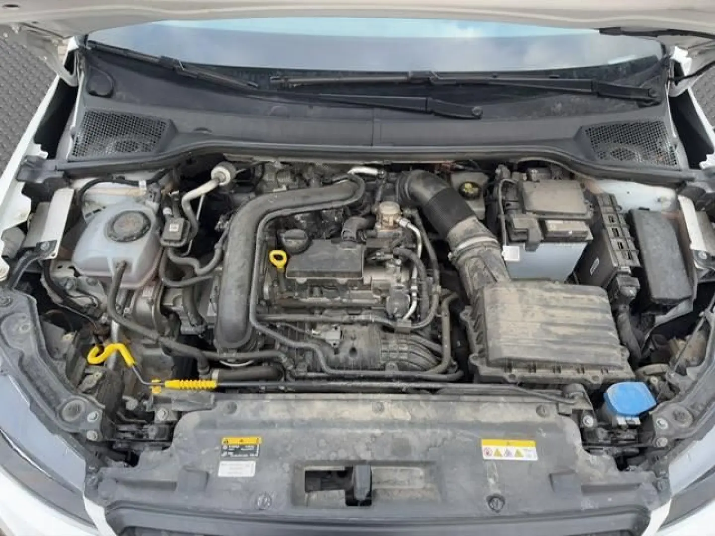 Arona 1.0 TSI DSG Style LED Sitzhzg PDC