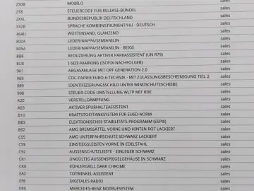 G 63 AMG G Station Massage Distronic 360  Nappa