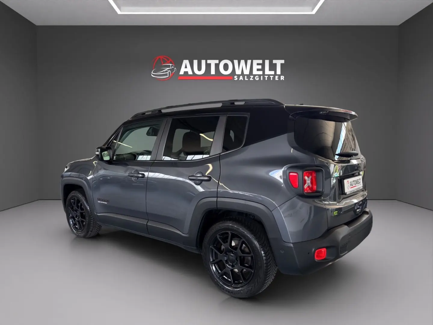 Renegade Mild-Hybrid Navi ACC Parkassist Kam