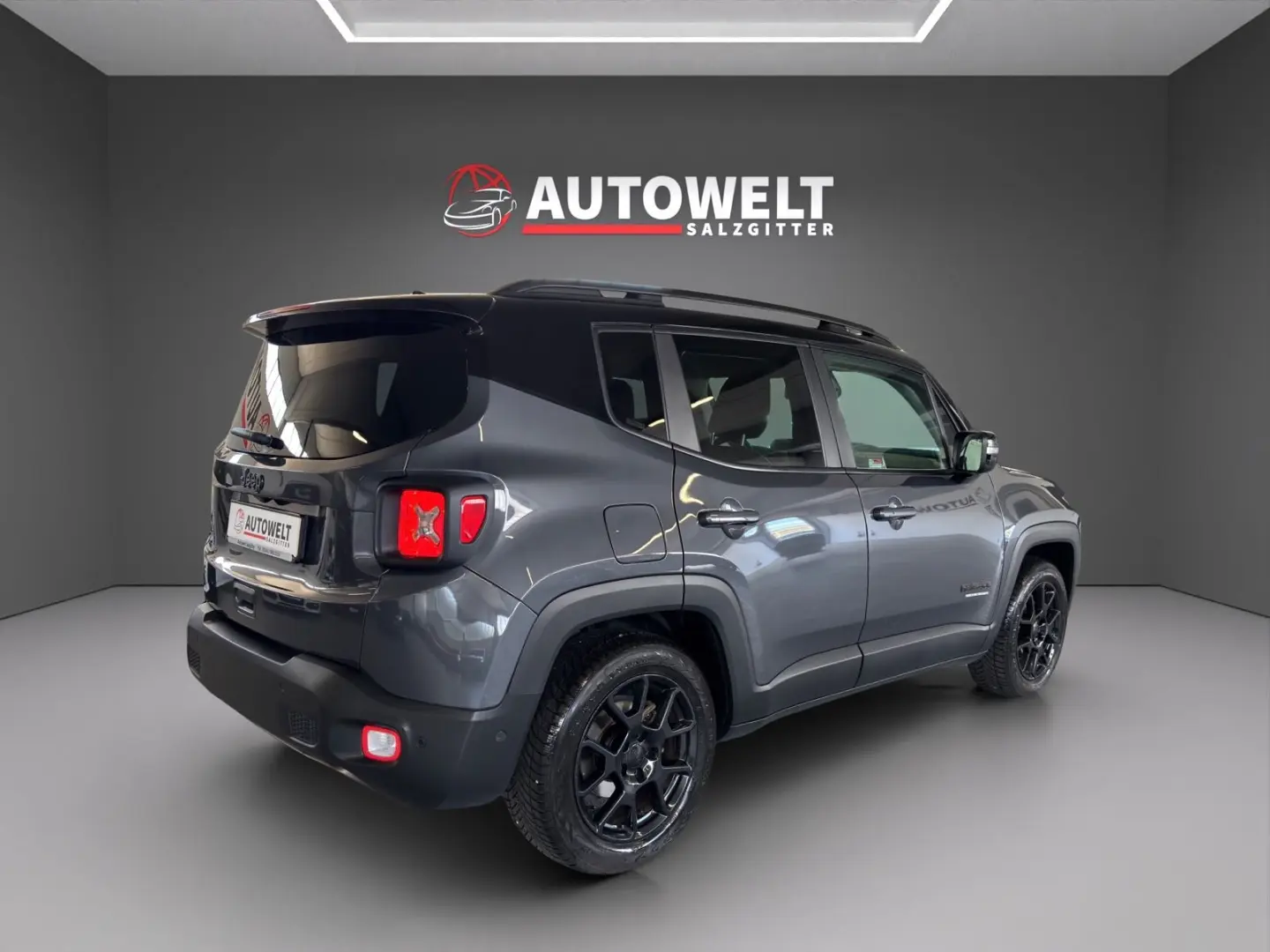 Renegade Mild-Hybrid Navi ACC Parkassist Kam