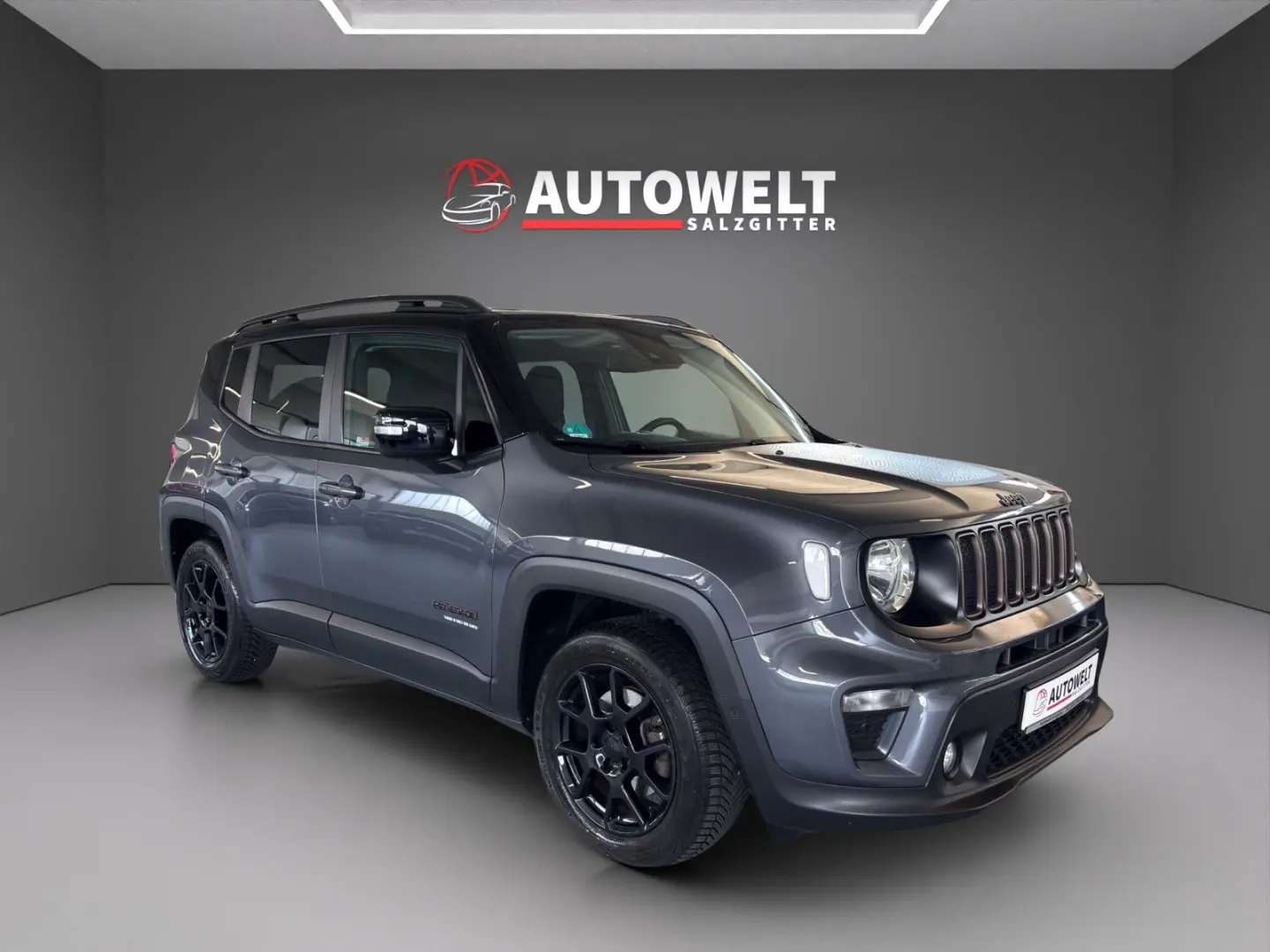 Renegade Mild-Hybrid Navi ACC Parkassist Kam