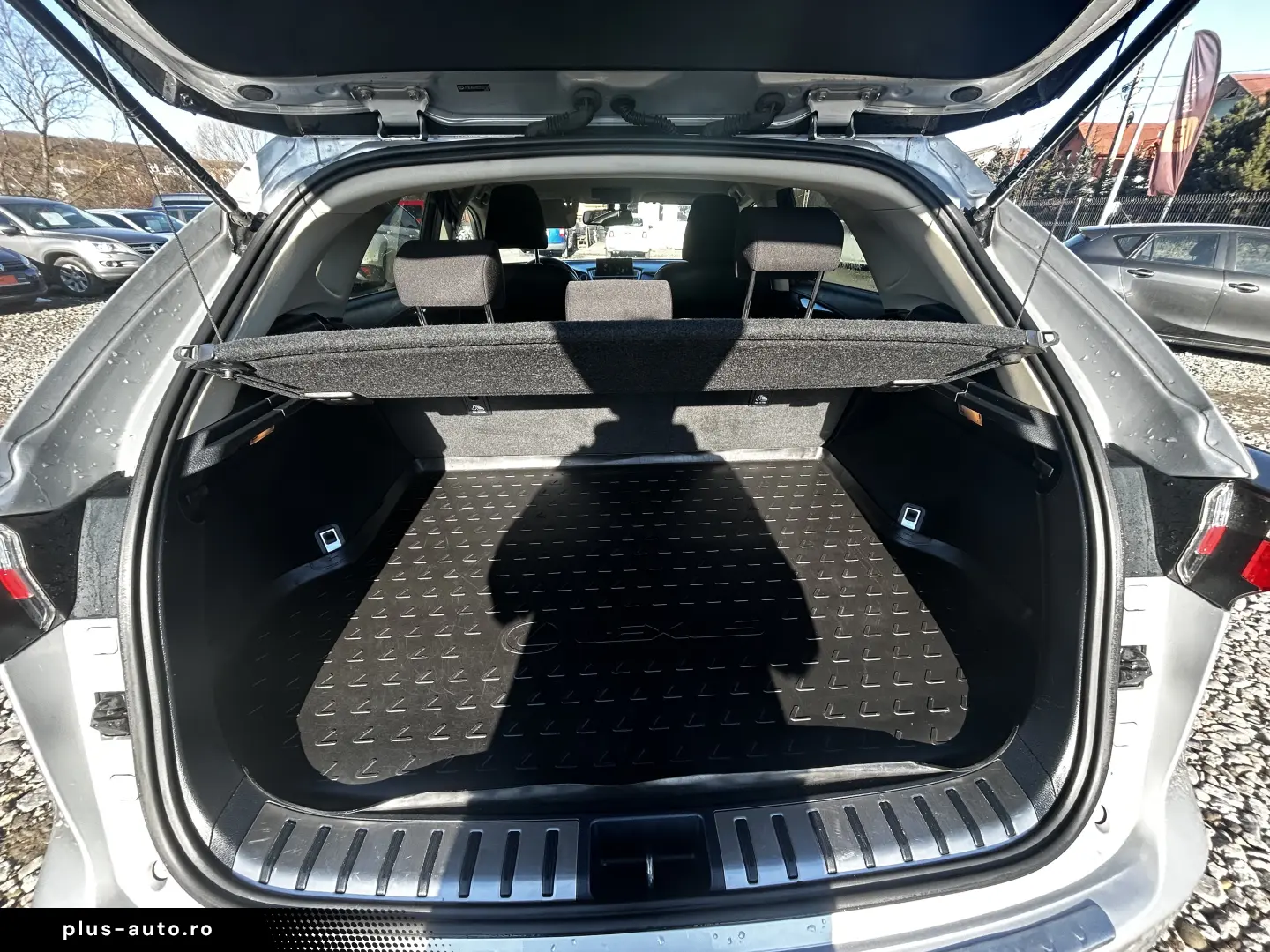 Lexus NX 300 Hibrid 4x4 - Lux  Eficiență și Fiabilitate!