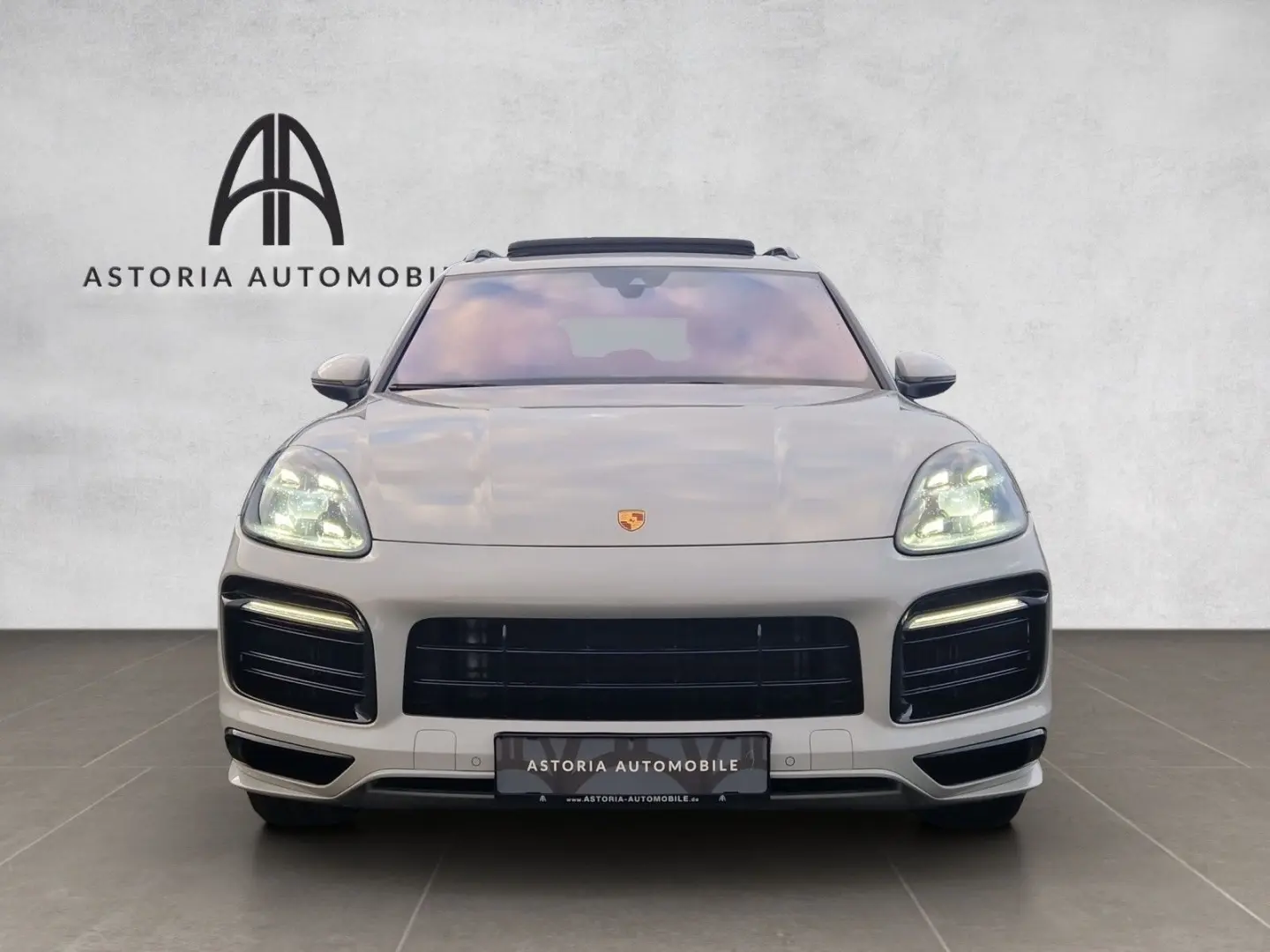 Cayenne S Platinum SportDesign HALenk Standh 18w