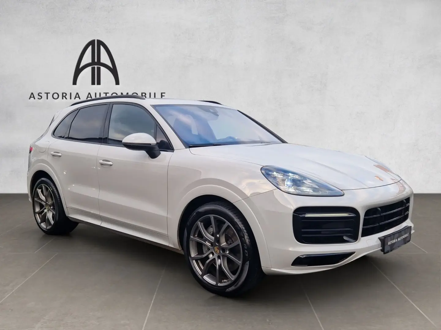 Cayenne S Platinum SportDesign HALenk Standh 18w