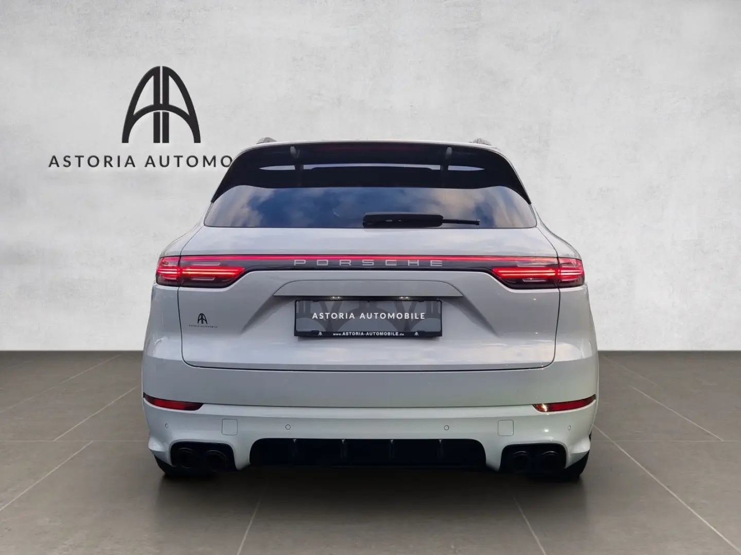 Cayenne S Platinum SportDesign HALenk Standh 18w