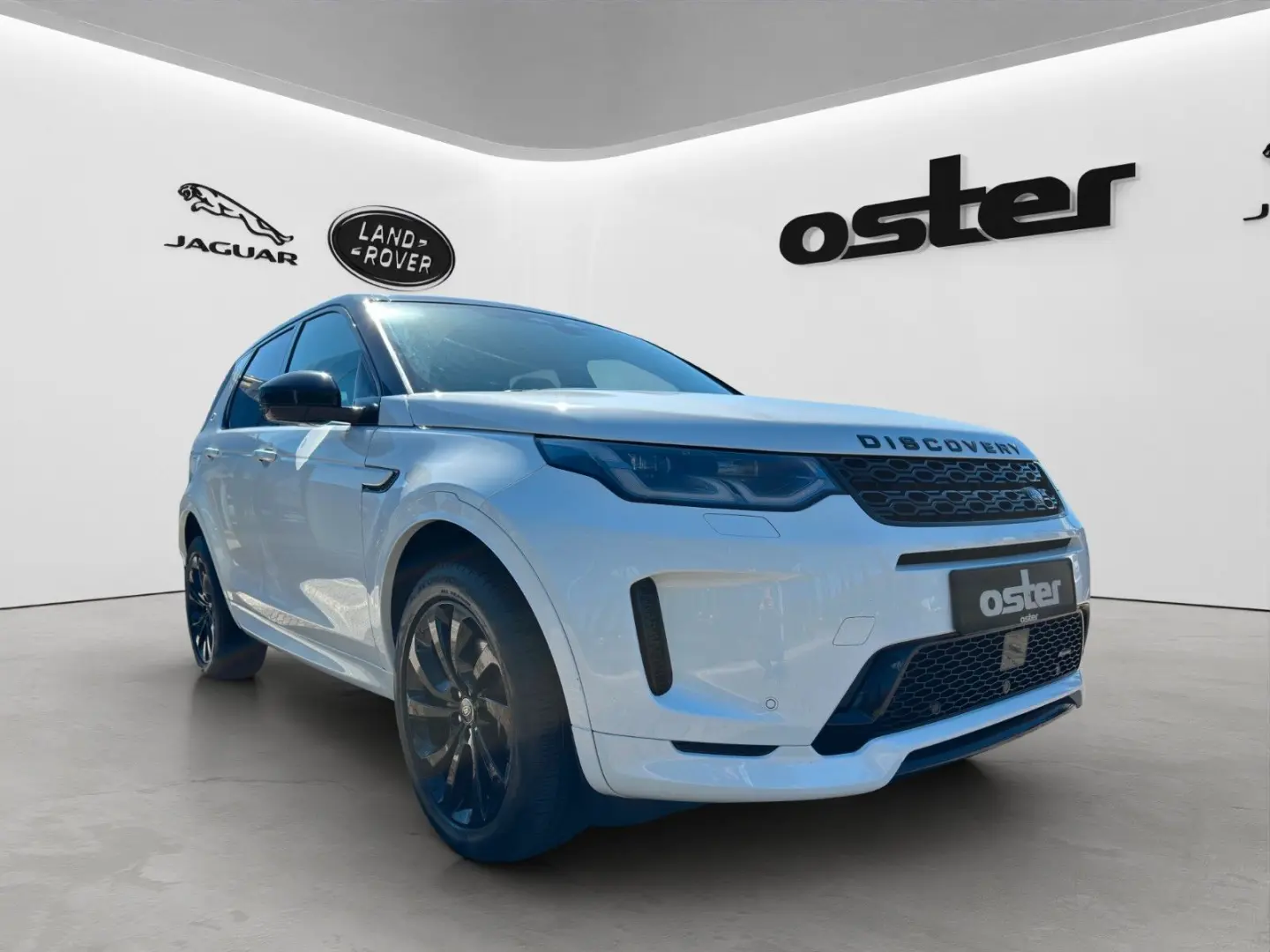 Discovery Sport D200 R-Dynamic HSE AWD AHK LED