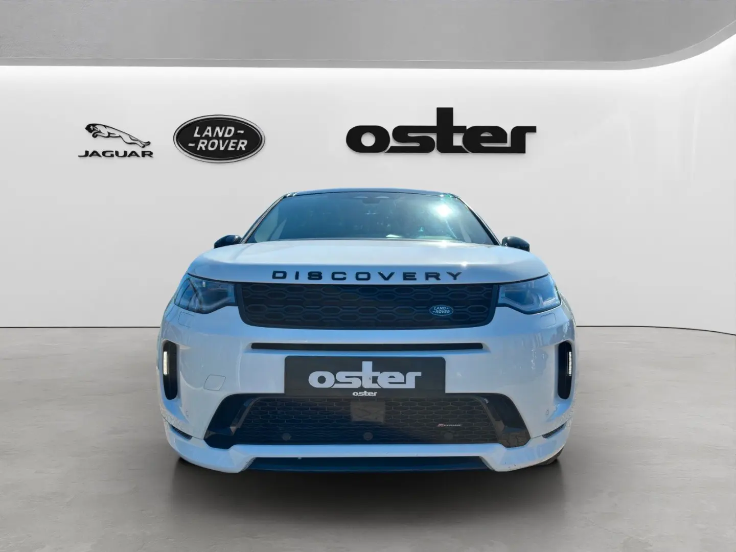 Discovery Sport D200 R-Dynamic HSE AWD AHK LED