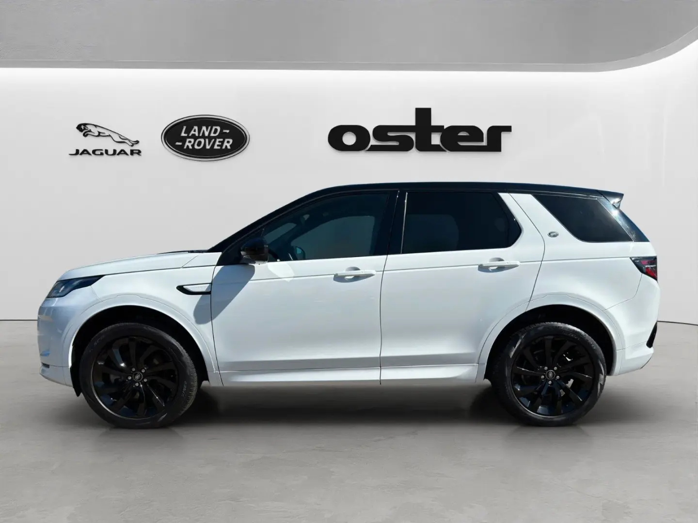 Discovery Sport D200 R-Dynamic HSE AWD AHK LED