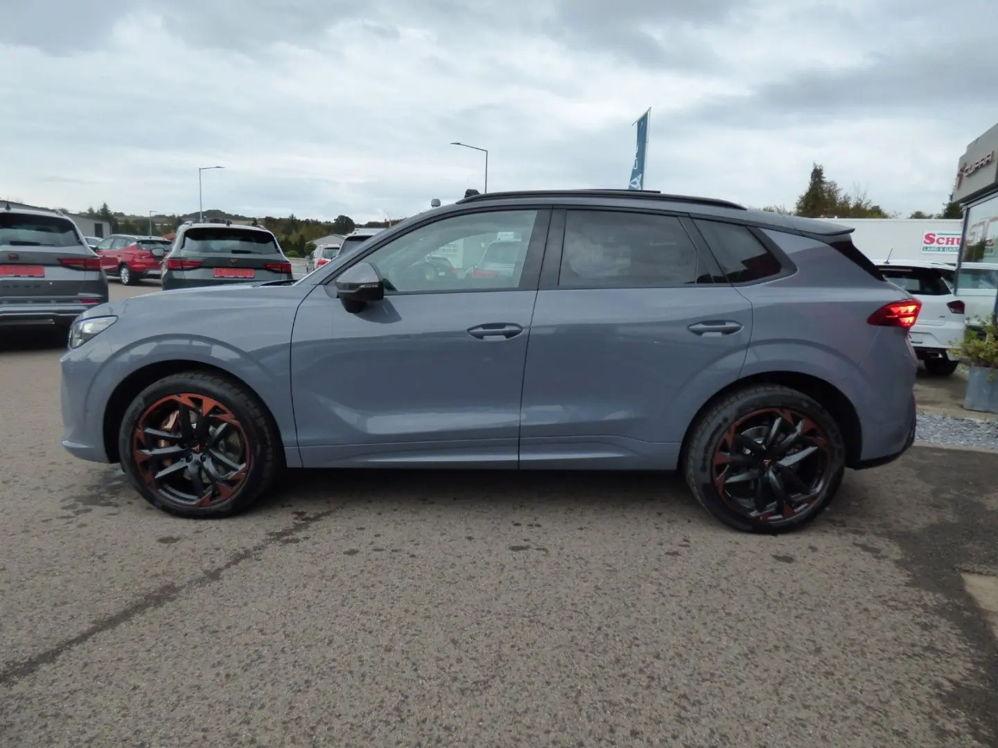 Terramar VZ 2.0 TSI  4Drive PANO MATRIX SENNHEI