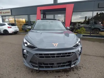 Terramar VZ 2.0 TSI  4Drive PANO MATRIX SENNHEI