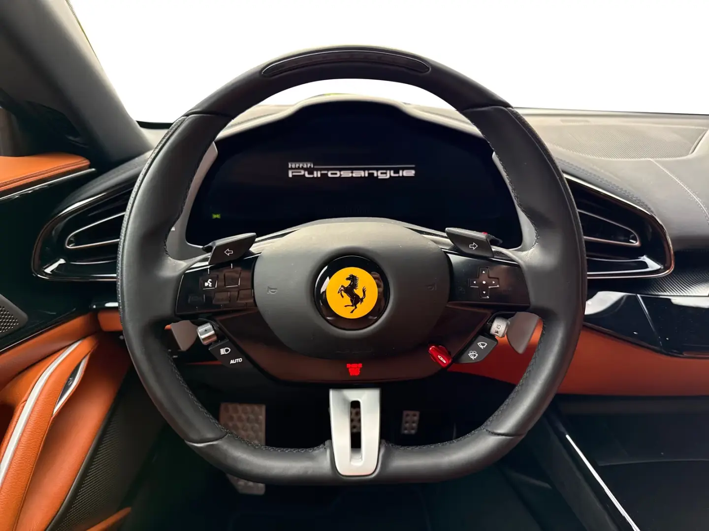 Ferrari Purosangue  Embleme  HiFi PDC Climă Piele