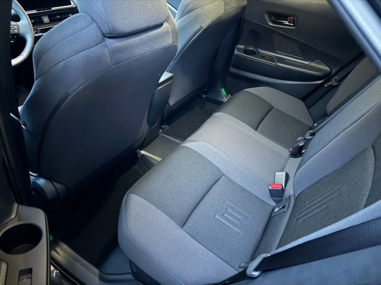 C-HR Plug In Team Deutschland