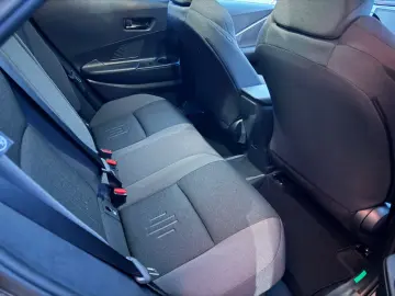 C-HR Plug In Team Deutschland