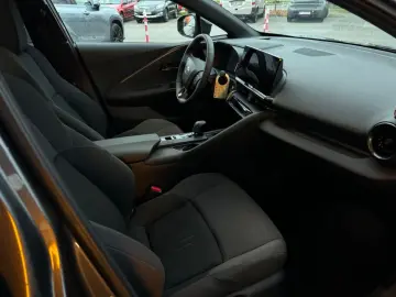 C-HR Plug In Team Deutschland