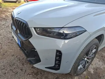 X6 xDrive30d M Sport Innovationsp. Panorama AHK