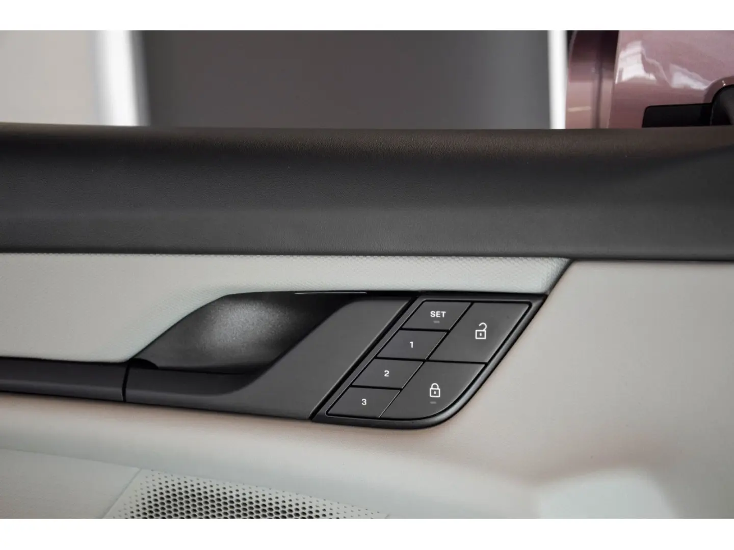 Taycan Batterie Performance Plus - Frozen Berry