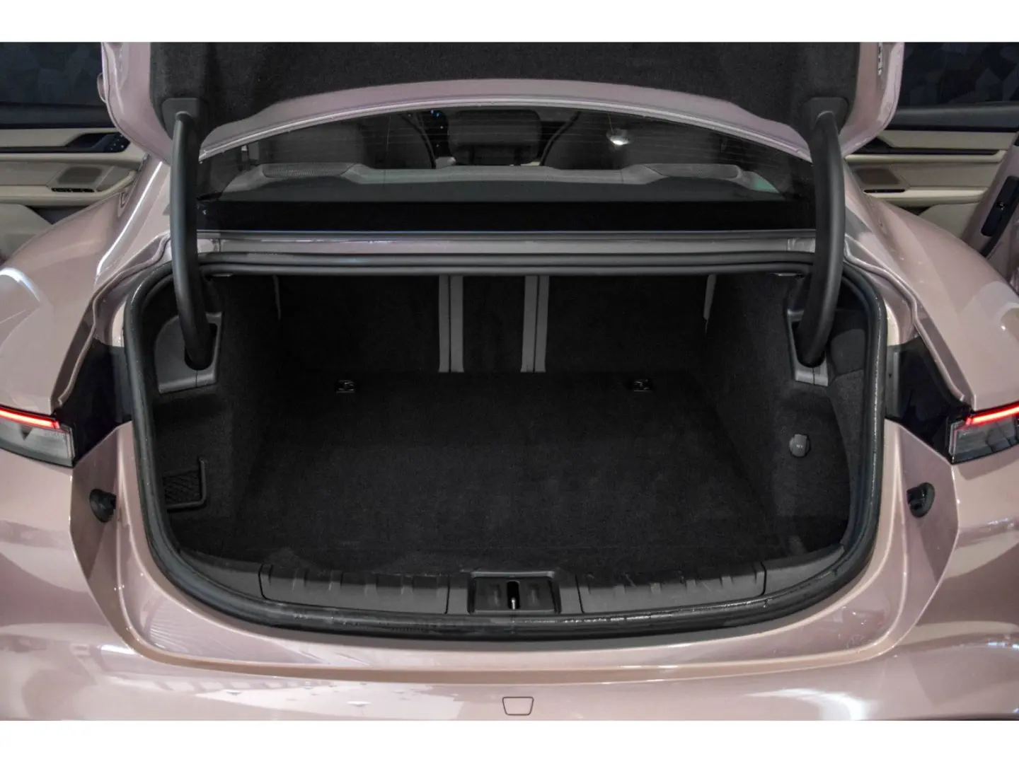 Taycan Batterie Performance Plus - Frozen Berry