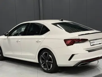 Octavia Lim. RS  COLUMBUS Standhzg AHK KAMERA