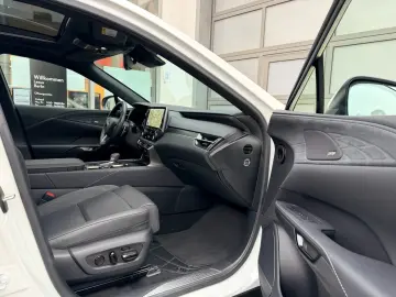 RX 450h  2 5 PHEV Luxury Line    Panoramadach