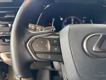 RX 450h   Luxury Line  Leder Pano HUD 360  4xSHZ