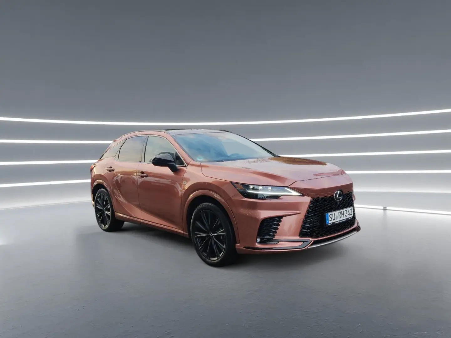 RX 500h F-Sport  Panorama  Mark Levinson